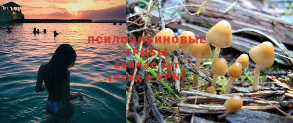 хмурый Богданович