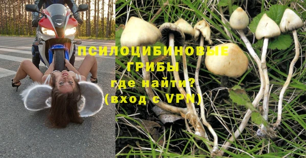 хмурый Богданович