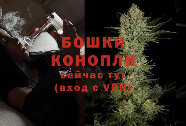 винт Белокуриха