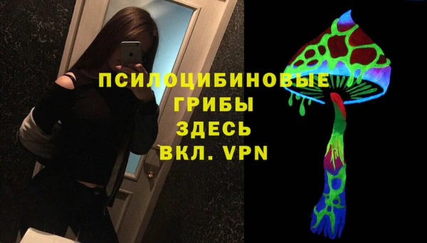 хмурый Богданович