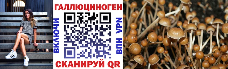 mega сайт  Микунь  Псилоцибиновые грибы Magic Shrooms 